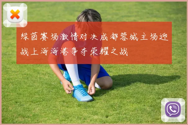 绿茵赛场激情对决成都蓉城主场迎战上海海港争夺荣耀之战